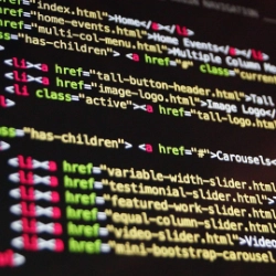 web developer